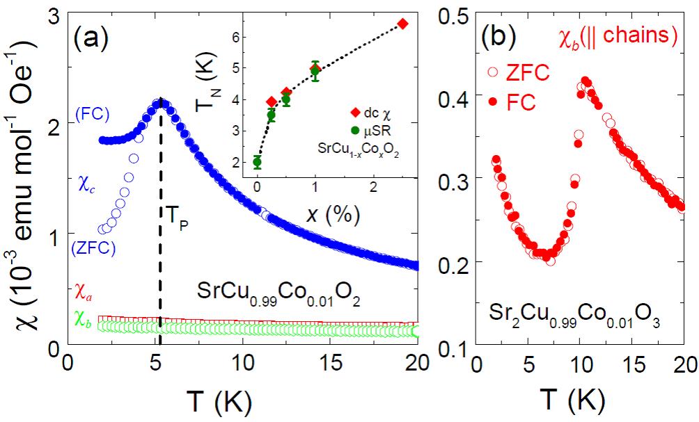 Graphs for Magnetic susceptibility shown as a function of temperature (T).
